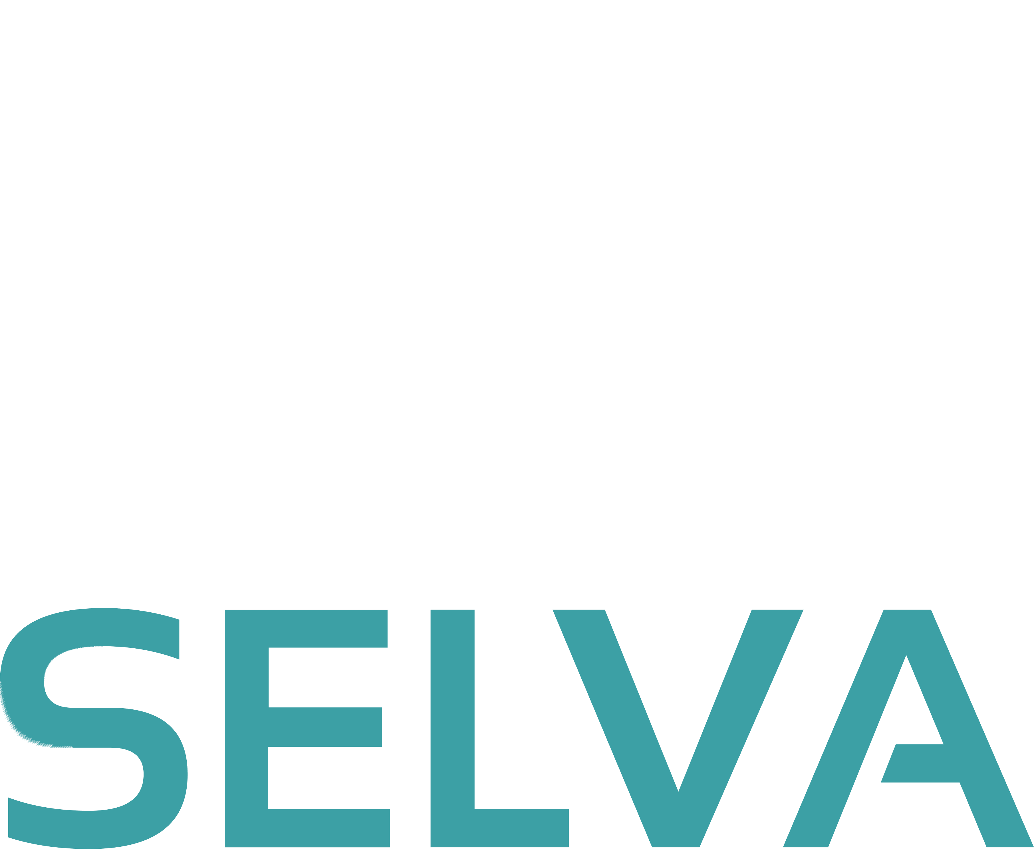 Logo SELVA